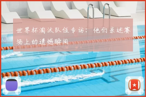 世界杯淘汰队伍专访：他们亲述赛场上的遗憾瞬间