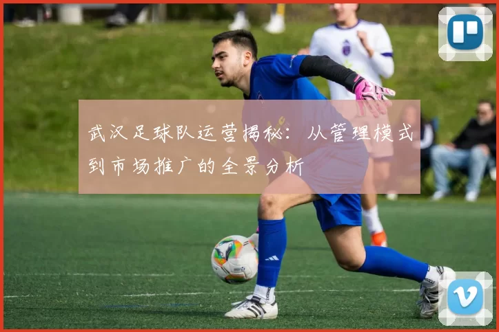 武汉足球队运营揭秘:从管理模式到市场推广的全景分析