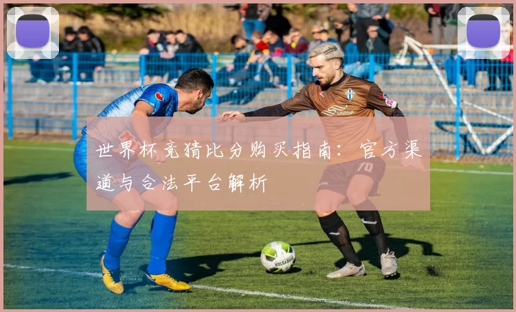 世界杯竞猜比分购买指南：官方渠道与合法平台解析