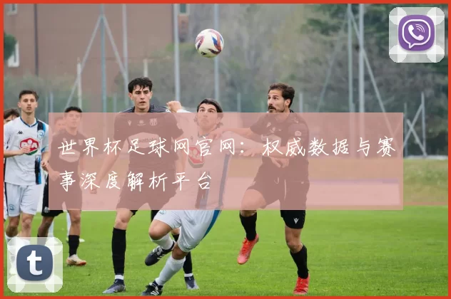世界杯足球网官网：权威数据与赛事深度解析平台