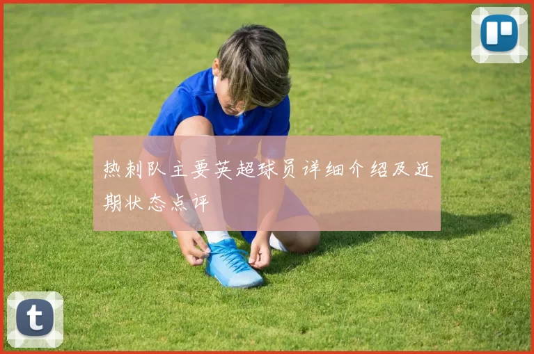 热刺队主要英超球员详细介绍及近期状态点评