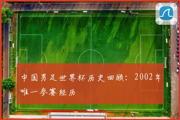 中国男足世界杯历史回顾：2002年唯一参赛经历