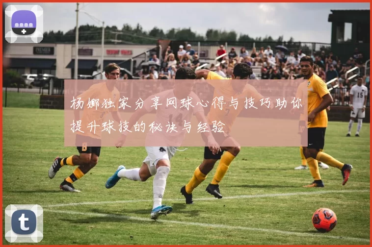 杨娜独家分享网球心得与技巧助你提升球技的秘诀与经验