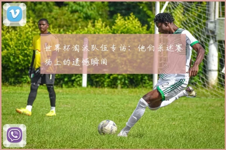 世界杯淘汰队伍专访：他们亲述赛场上的遗憾瞬间