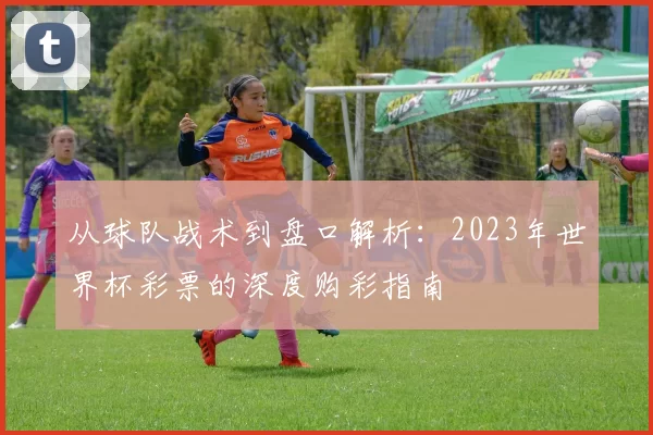 从球队战术到盘口解析：2023年世界杯彩票的深度购彩指南