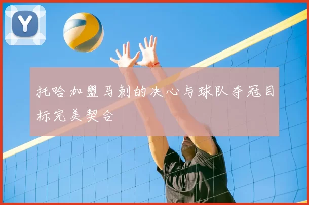 托哈加盟马刺的决心与球队夺冠目标完美契合